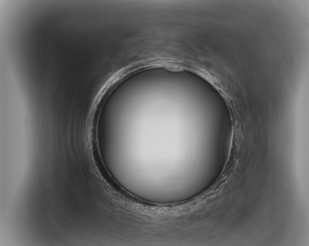 X0000116810007200912241230