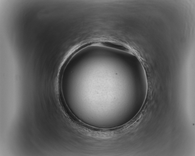 X0000116810008200912241230