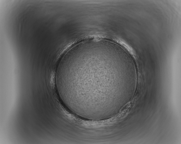 X0000116810009200912241230