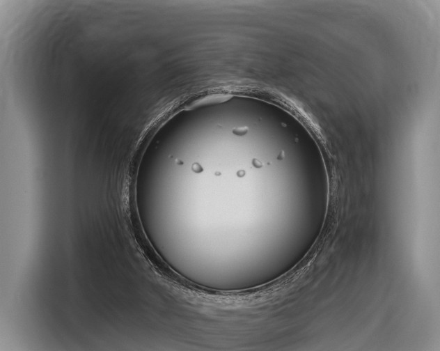 X0000116810010200912241230