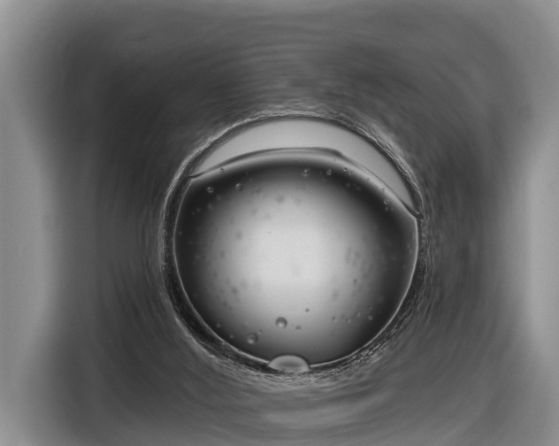 X0000116810012200912241230