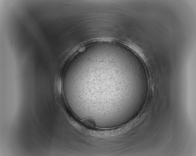 X0000116810013200912241230