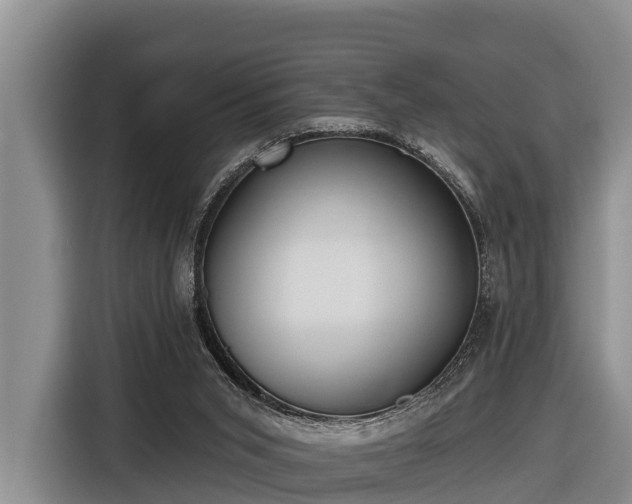 X0000116810015200912241230