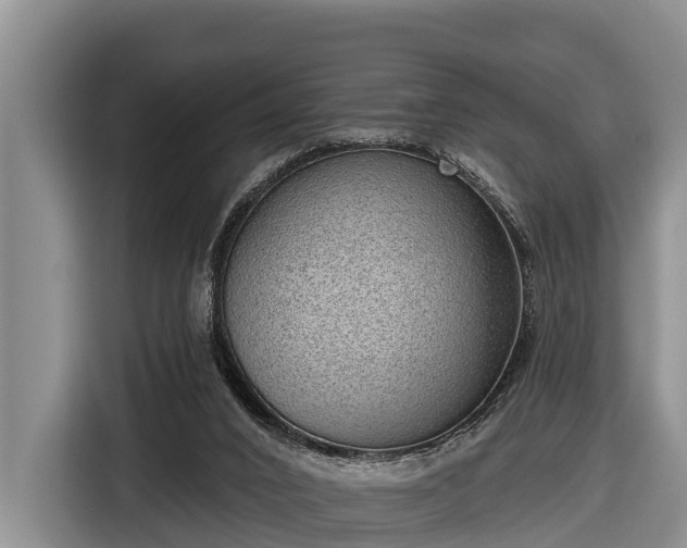 X0000116810016200912241230