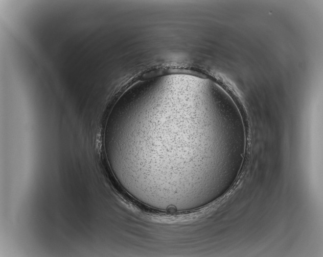 X0000116810017200912241230