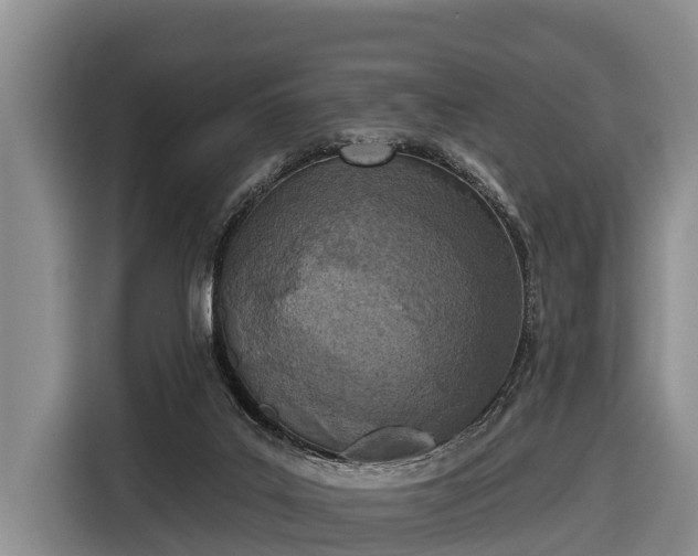 X0000116810019200912241230