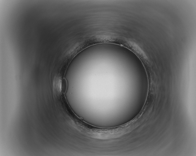 X0000116810021200912241230