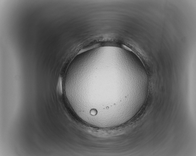 X0000116810022200912241230