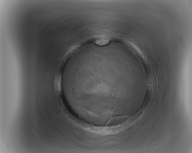 X0000116810023200912241230