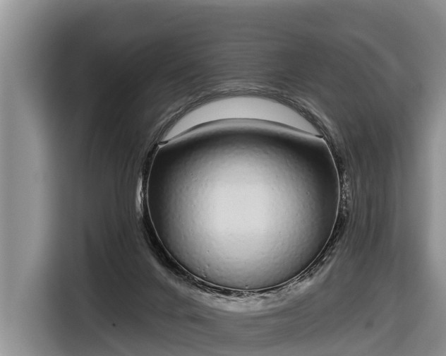 X0000116810024200912241230