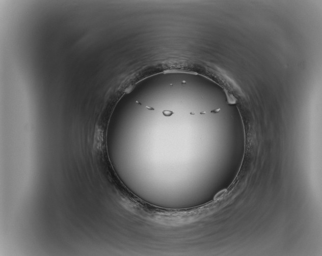 X0000116810025200912241230