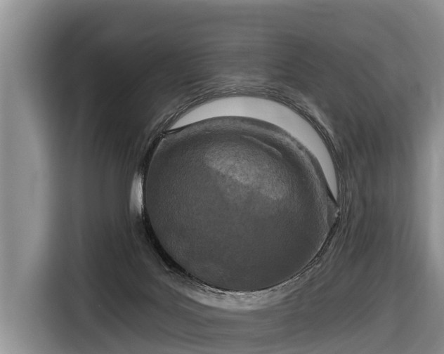 X0000116810027200912241230