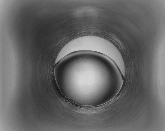 X0000116810029200912241230