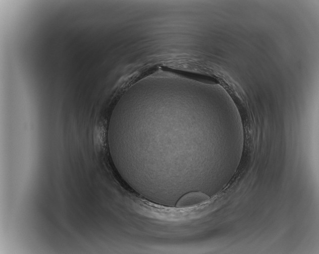 X0000116810035200912241230