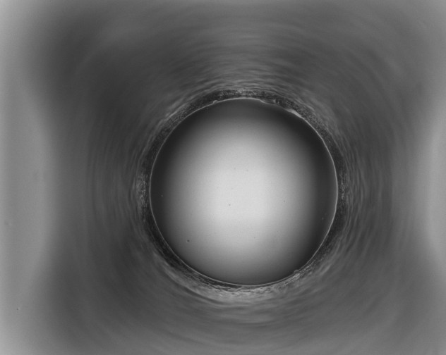 X0000116810036200912241230