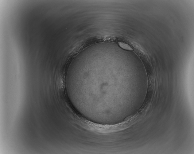 X0000116810039200912241230