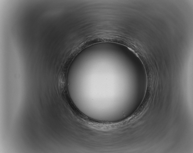 X0000116810040200912241230