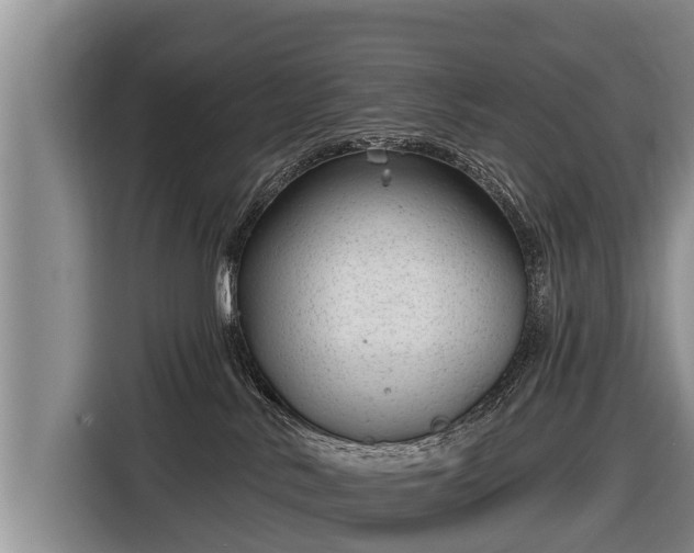 X0000116810042200912241229