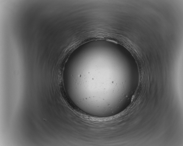 X0000116810043200912241229