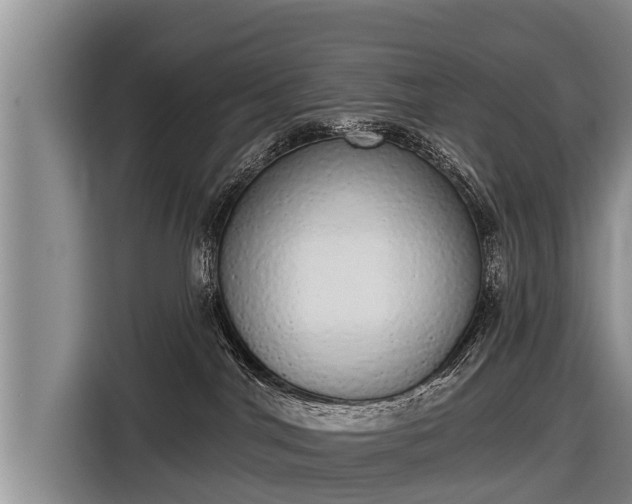 X0000116810044200912241229