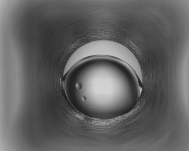 X0000116810045200912241229