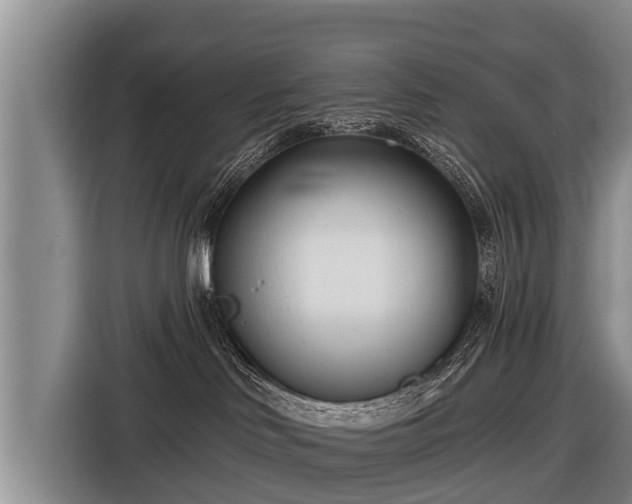 X0000116810046200912241229