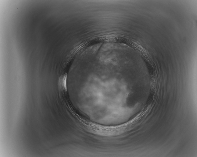 X0000116810047200912241229