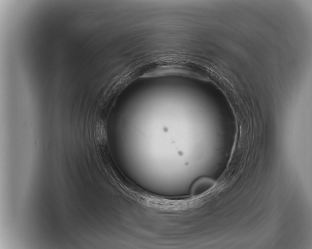 X0000116810048200912241229