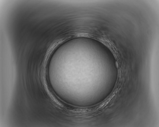 X0000116810049200912241229