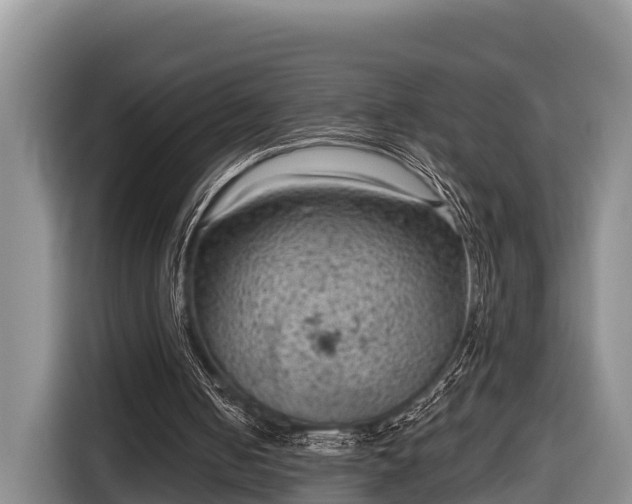 X0000116810050200912241229