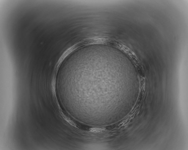 X0000116810051200912241229