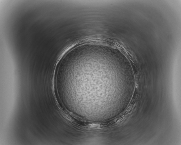 X0000116810052200912241229