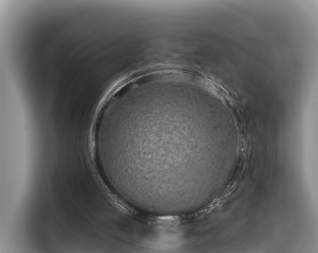 X0000116810053200912241229