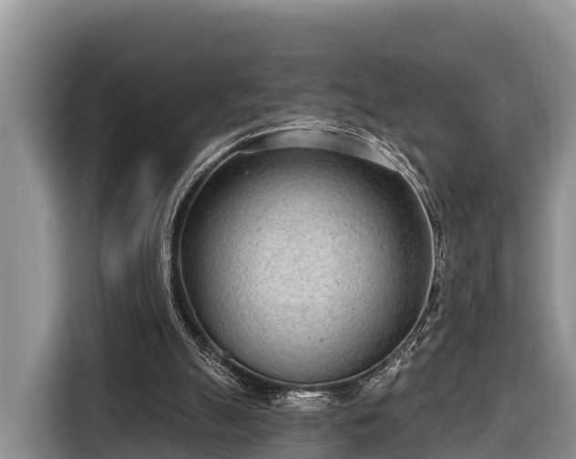 X0000116810055200912241229