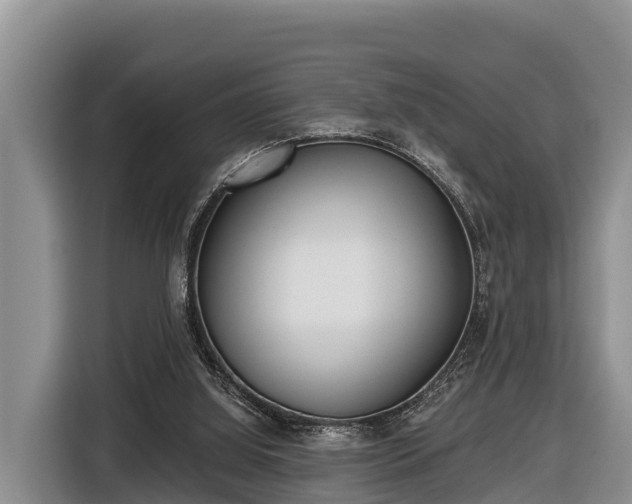 X0000116810060200912241229