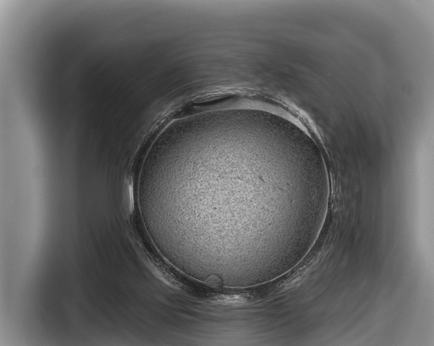 X0000116810061200912241229