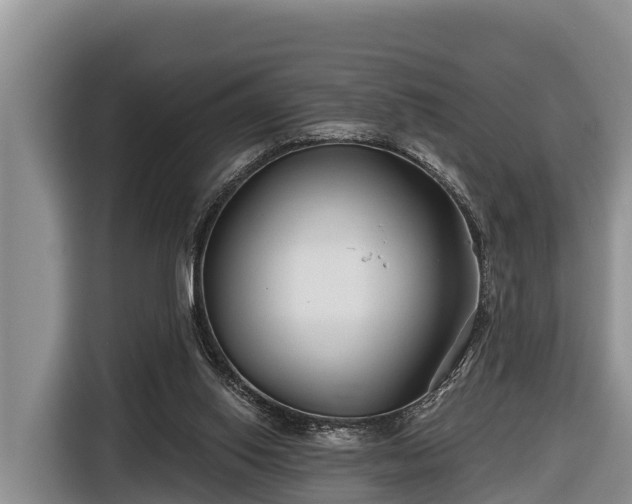 X0000116810062200912241229