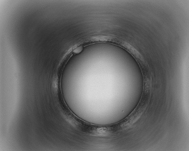 X0000116810064200912241229