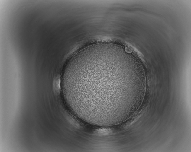 X0000116810067200912241229