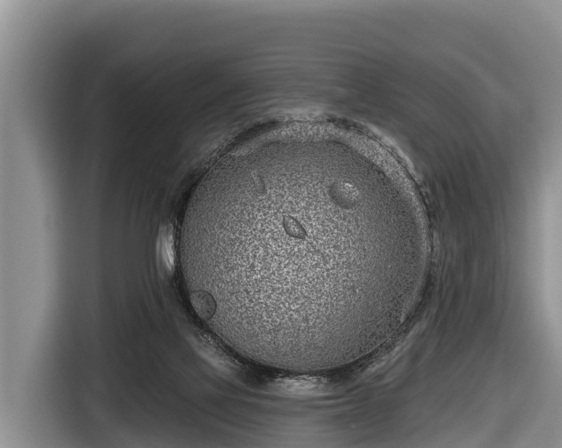 X0000116810069200912241229