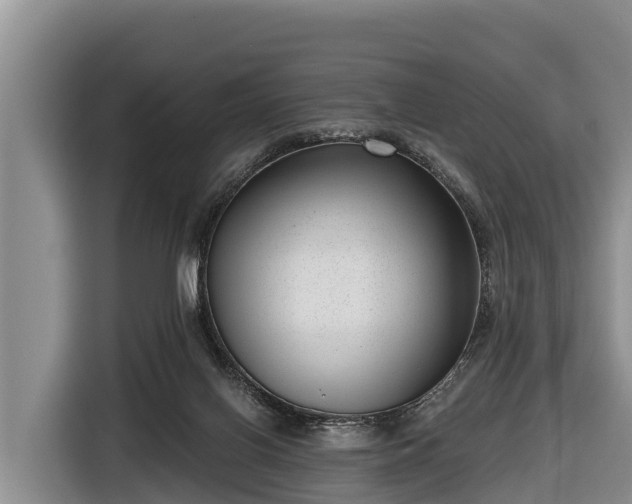 X0000116810070200912241229