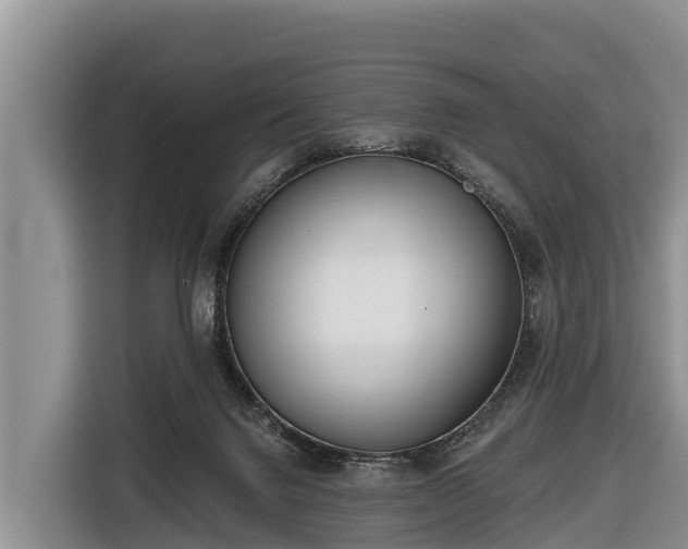 X0000116810072200912241229