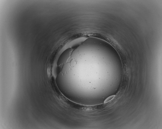 X0000116810074200912241229