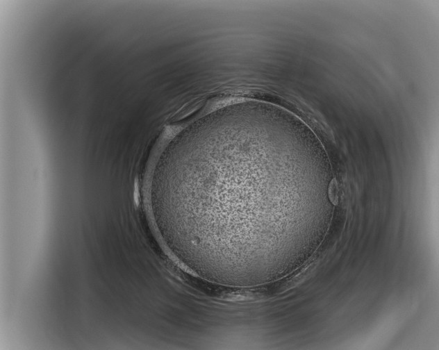 X0000116810075200912241229