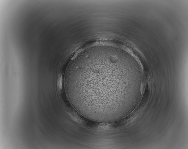 X0000116810076200912241229