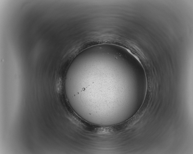 X0000116810077200912241229