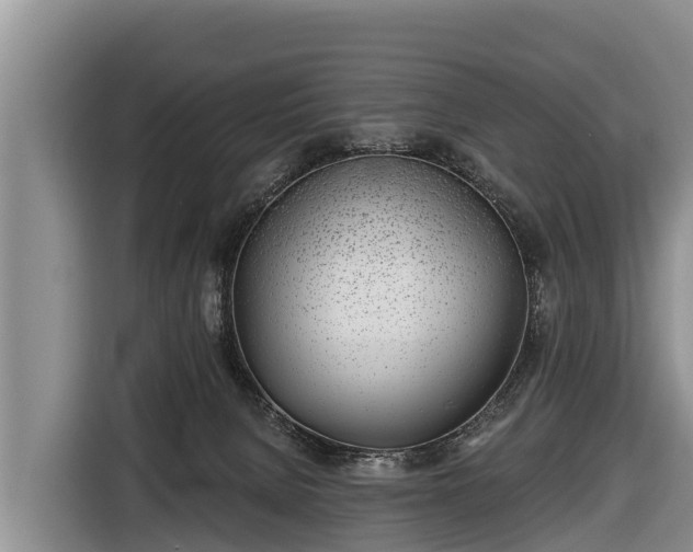 X0000116810080200912241229