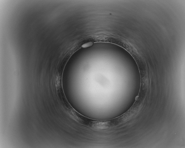 X0000116810081200912241229