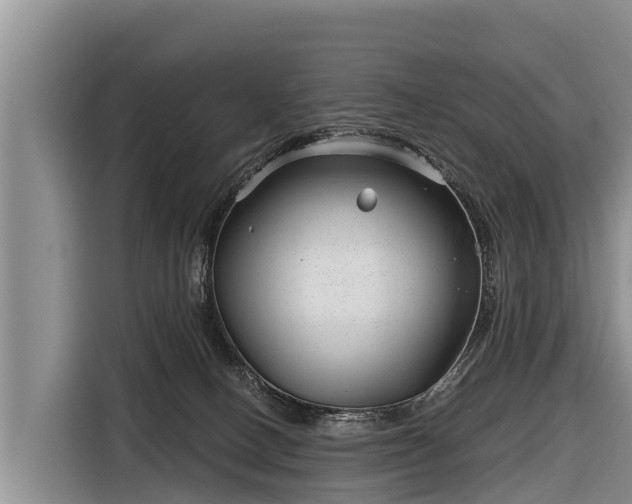 X0000116810082200912241229