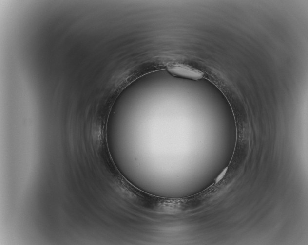 X0000116810084200912241229